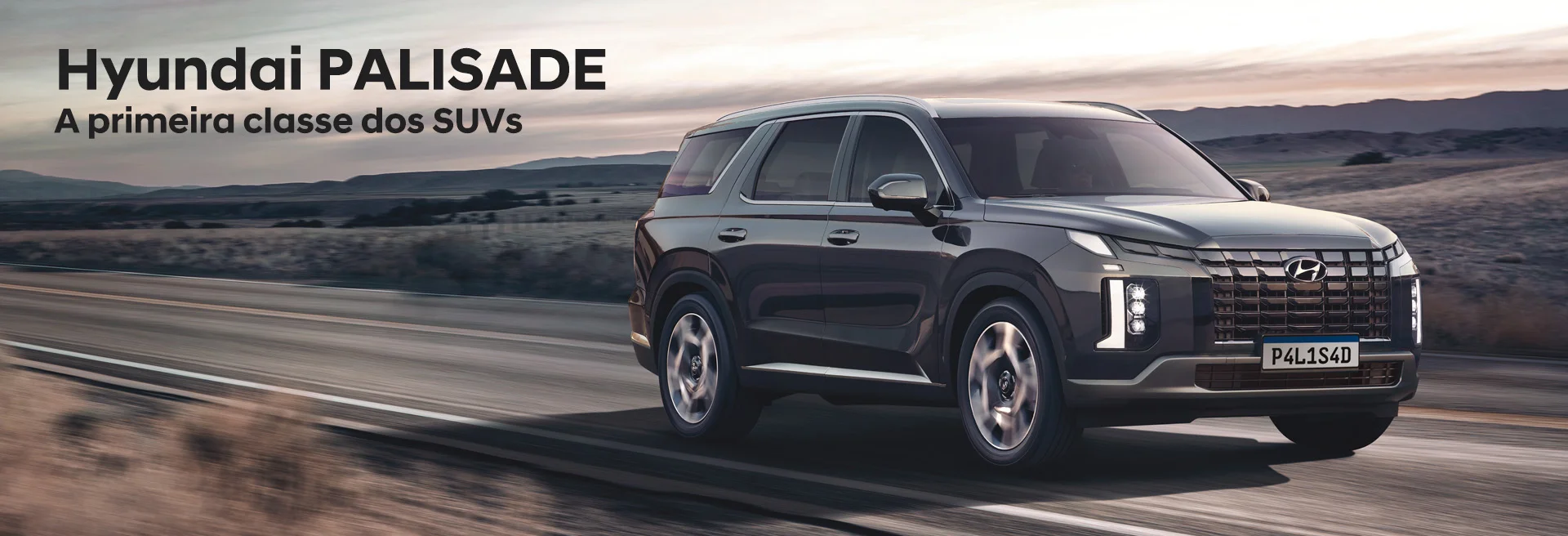 Banner Site Palisade Banner Site Palisade